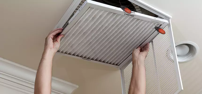 Preventive Cockroach-Proofing for Ducts in Waterville