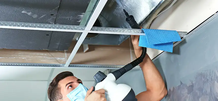 Our Air Duct Rodent Removal Services in Waterville, ME