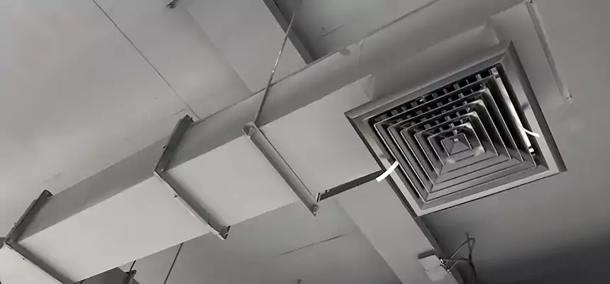 Our Rodent Droppings In Vents Services in Waterville, ME