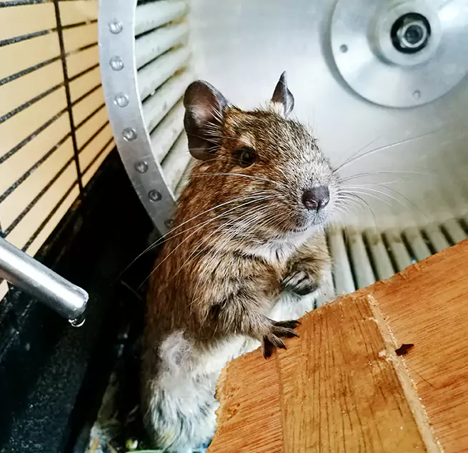 Why Homeowners & Businesses Trust Us Waterville, ME